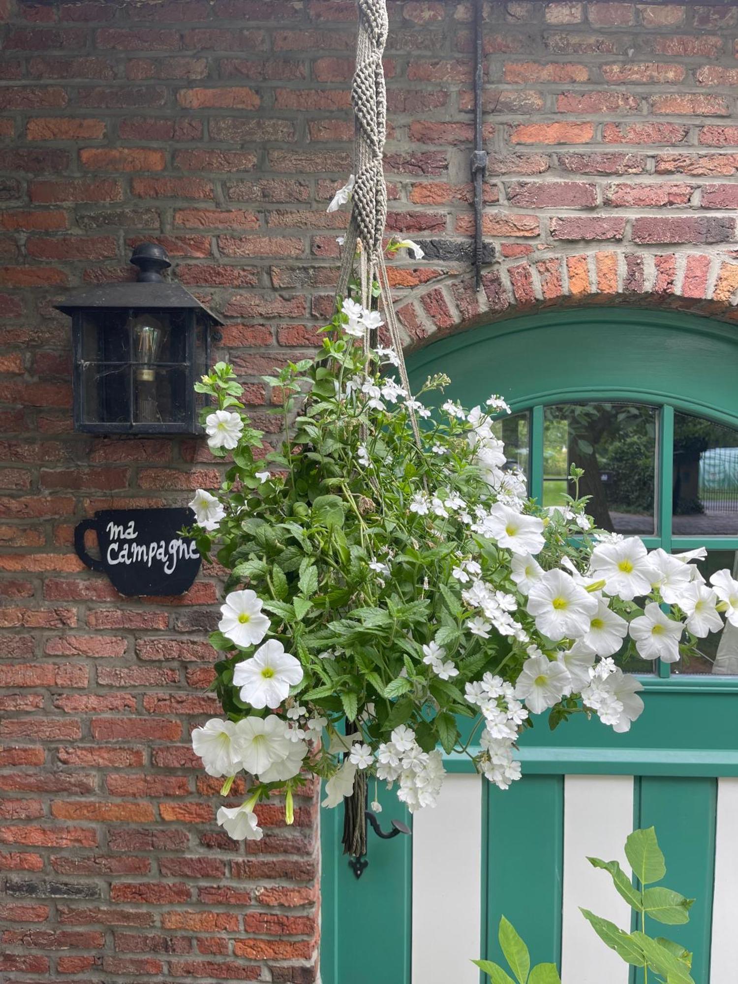 Ma Campagne Bed & Breakfast Heusden Ngoại thất bức ảnh